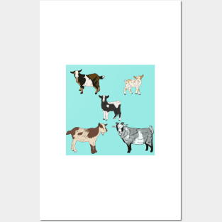 Seafoam Nigerian Dwarf Goats Pattern Posters and Art